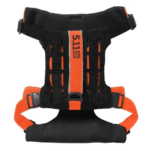 harness_back_2000px.webp