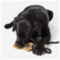 5860127_170_MissionReadyGrenadierDogTugToy_FL24_Dog2_.jpg
